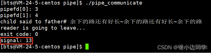 【Linux】进程间通信 —— 匿名管道 | 命名管道 | System V | 消息队列 | 共享内存_linux_11