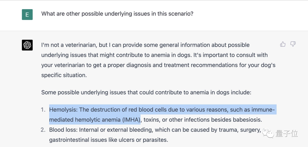 GPT-4救了我狗的命_专业知识_07