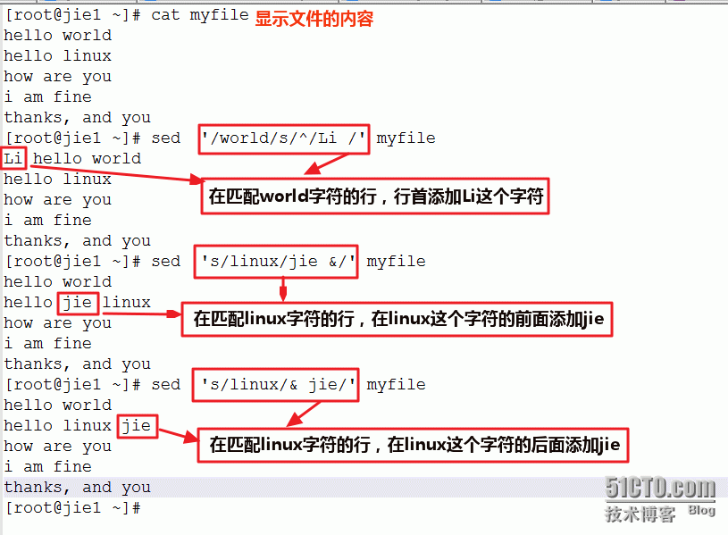 操作系统和网络（二）：linux中sed的常用使用方式_Ethernet_08