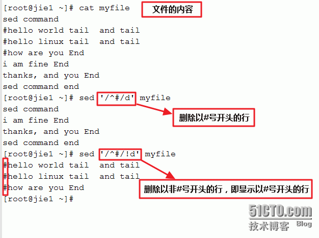 操作系统和网络（二）：linux中sed的常用使用方式_Ethernet_17