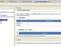 java_XFire_webservice_xml_18