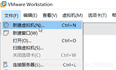 虚拟机VMware使用U盘装系统