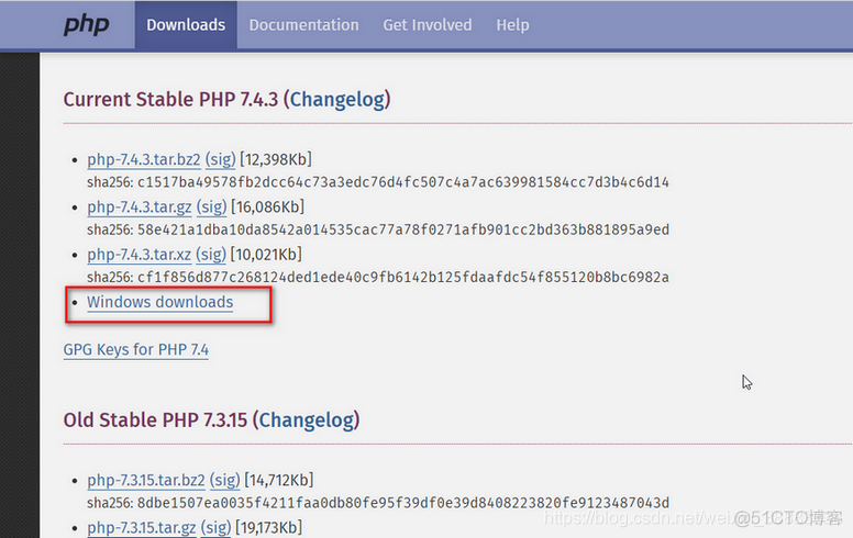 win10+PHP7.4+Apache2.4+Mysql8  Laravel环境搭建_mysql