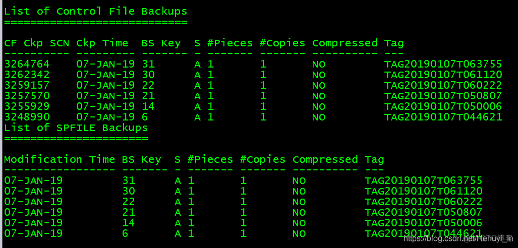 Oracle RMAN篇（三）—— RMAN 维护与管理_oracle_06