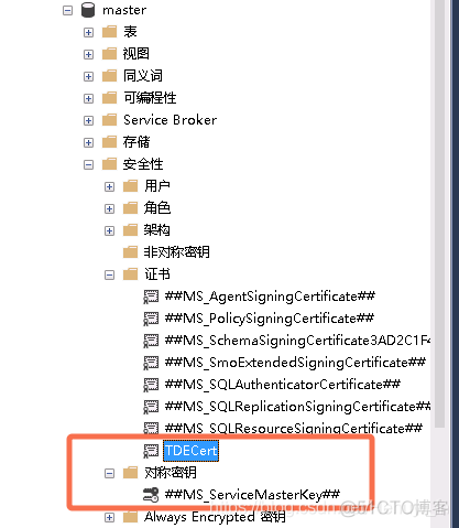 SQL Server 透明数据加密 TDE（单实例）_Server_04