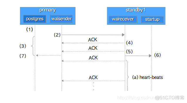 pg主从复制（一）——流复制机制_优先级_03