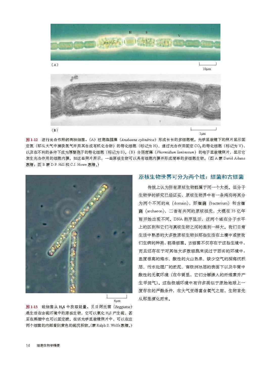重磅推介：细胞生物学精要（第五版）中文版(专享75 折福利，赶快看过来 