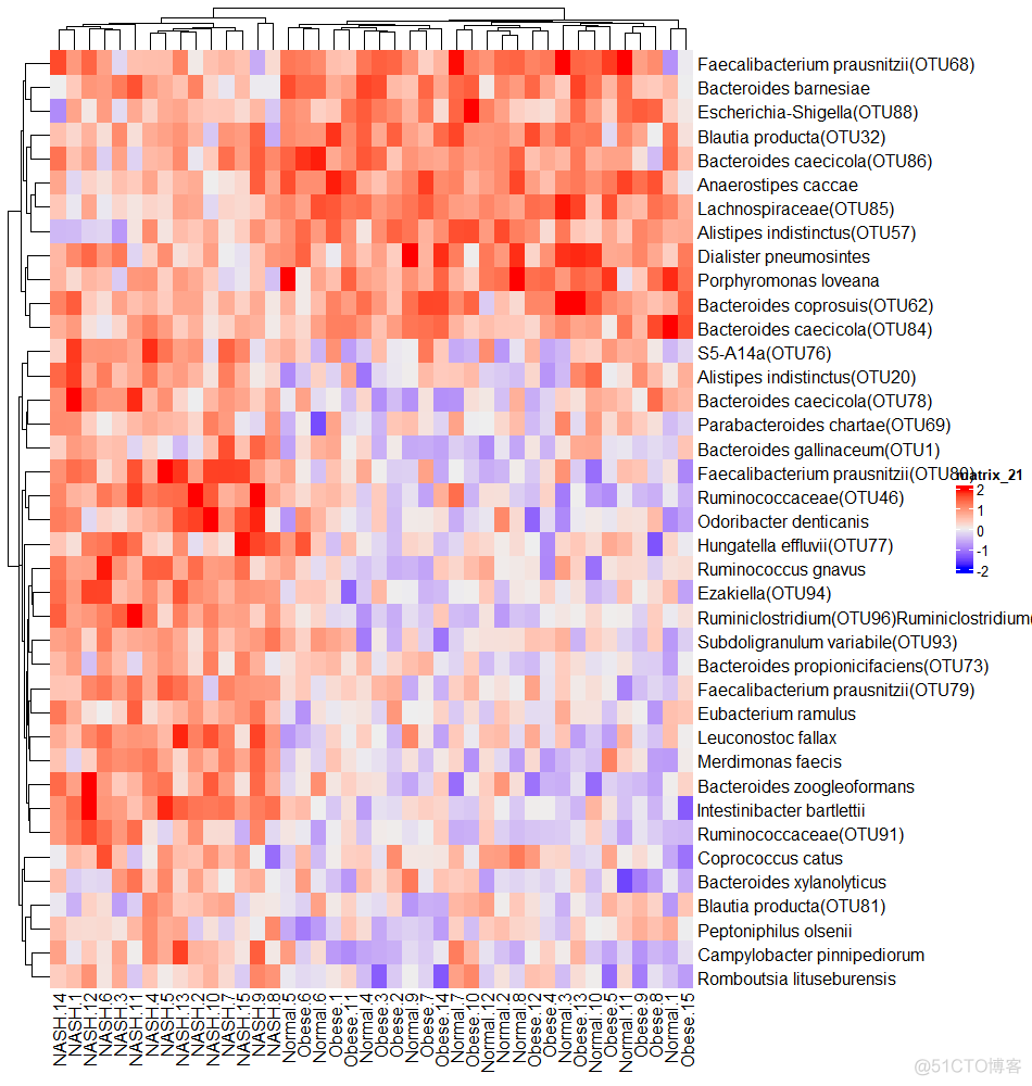 跟着iMeta学做图｜ComplexHeatmap包绘制热图展示不同样本物种相对丰度_图例_03