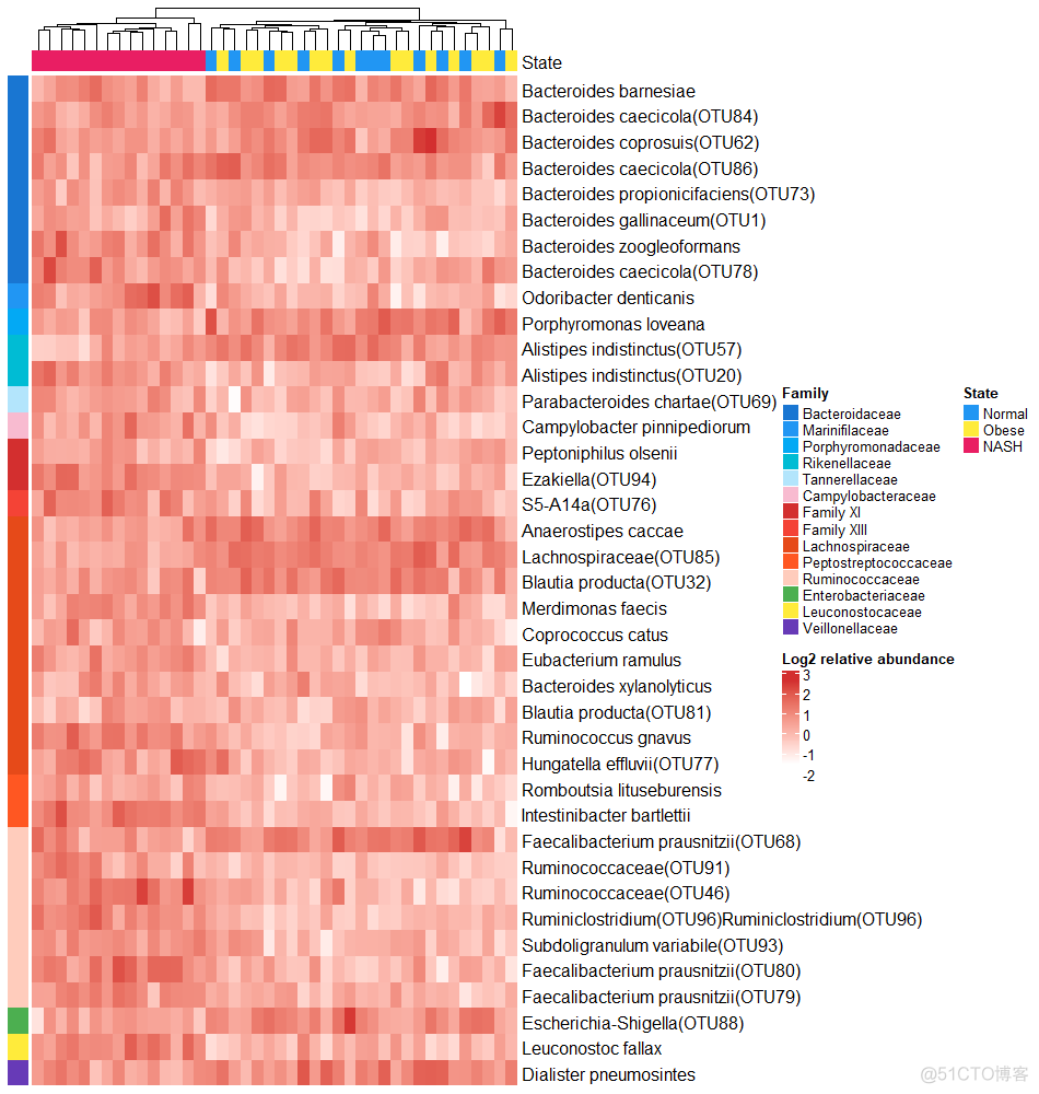 跟着iMeta学做图｜ComplexHeatmap包绘制热图展示不同样本物种相对丰度_ci_05