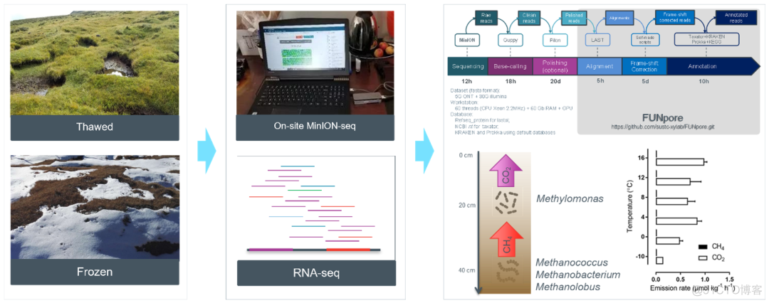 iMeta | 南科大夏雨组纳米孔测序揭示微生物可减轻高海拔冻土温室气体排放_深度学习_03