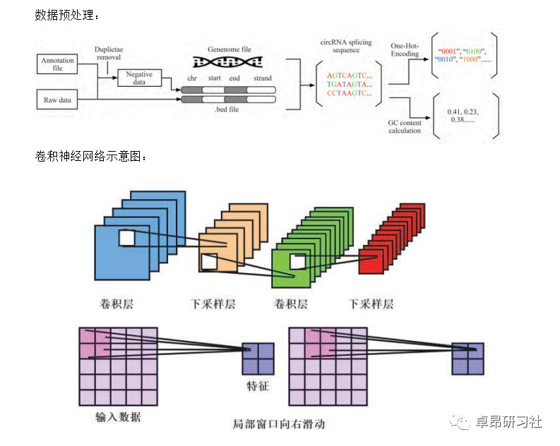 发基因组学、生物医学《SCI》《Nature》的最好方向！_数据分析_03