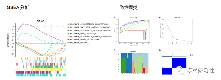 发基因组学、生物医学《SCI》《Nature》的最好方向！_人工智能_06