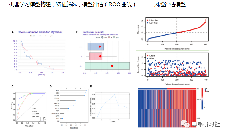 发基因组学、生物医学《SCI》《Nature》的最好方向！_大数据_07