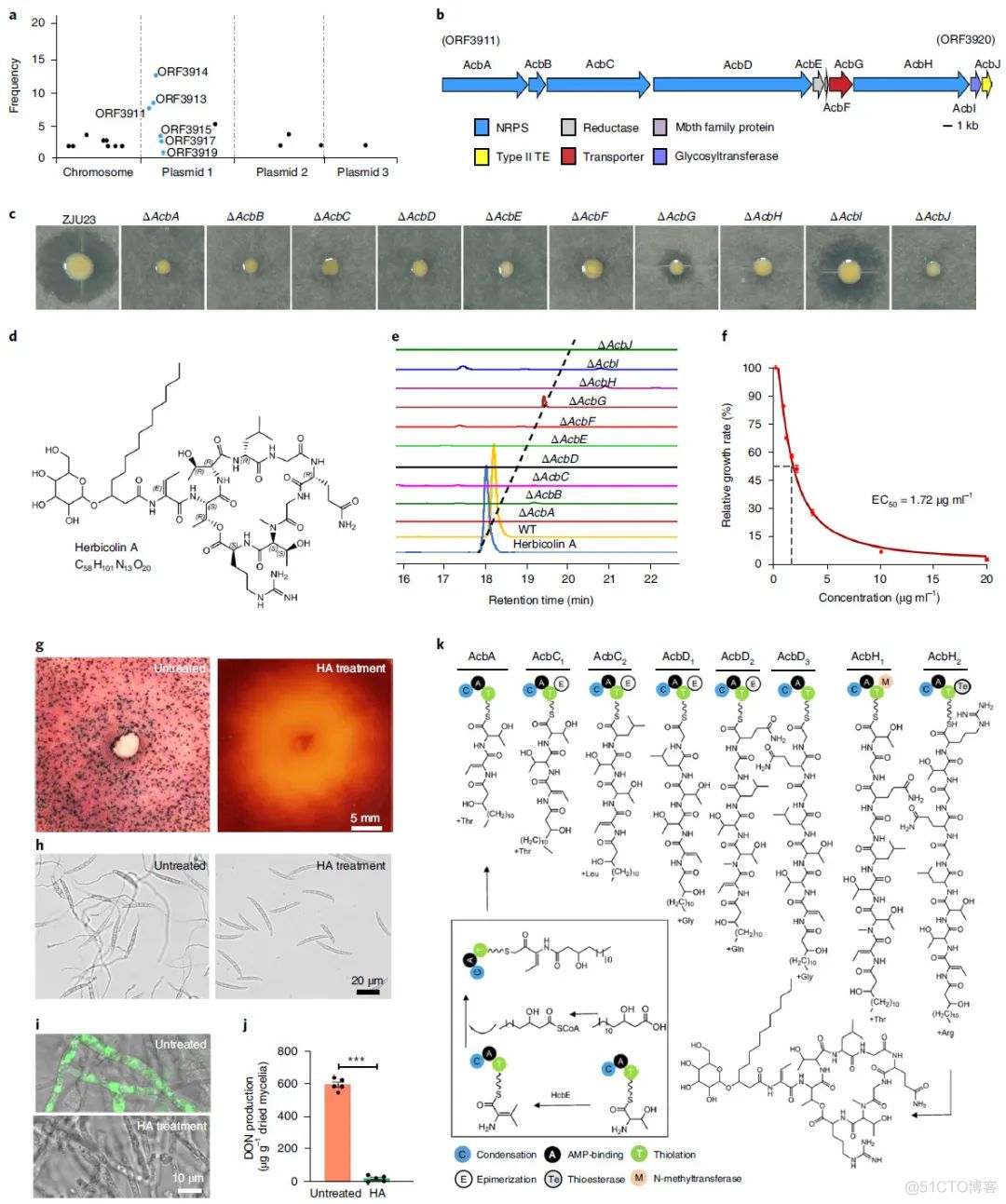 Nature Microbiology | 陈云/白洋/虞云龙等鉴定高效抗小麦赤霉病菌株及其作用机制..._人工智能_05