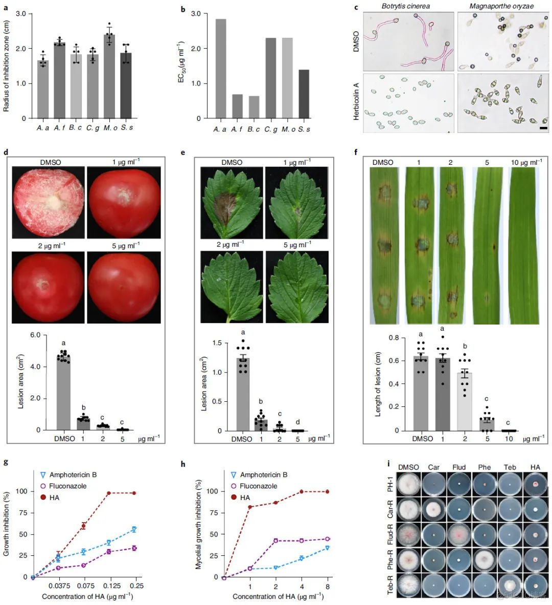 Nature Microbiology | 陈云/白洋/虞云龙等鉴定高效抗小麦赤霉病菌株及其作用机制..._机器学习_08