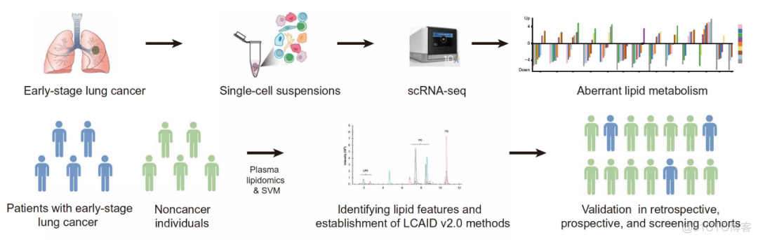 王俊和尹玉新团队合作开发代谢组联合人工智能肺癌早期检测新方法_算法_02
