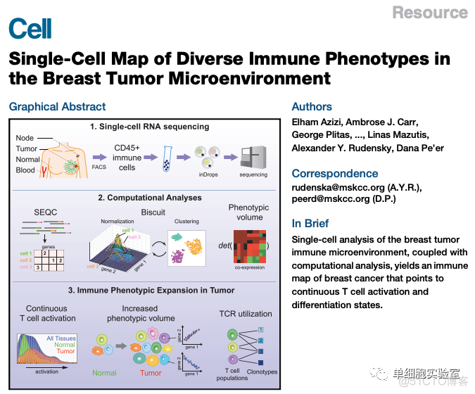 单细胞文章专列——细胞图谱_color_08
