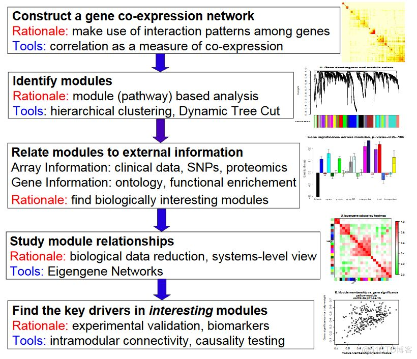 WGCNA分析，简单全面的最新教程（可以在线做了）_编程语言