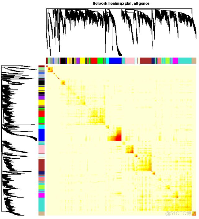 WGCNA分析，简单全面的最新教程（可以在线做了）_人工智能_06
