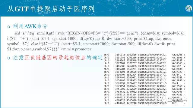 NGS基础 - GTF/GFF文件格式解读和转换_数据可视化_04