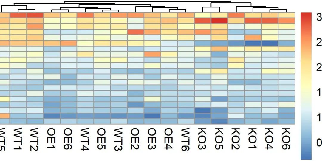 245热图展示微生物组的物种和功能丰度或有无、距离矩阵_人工智能_07