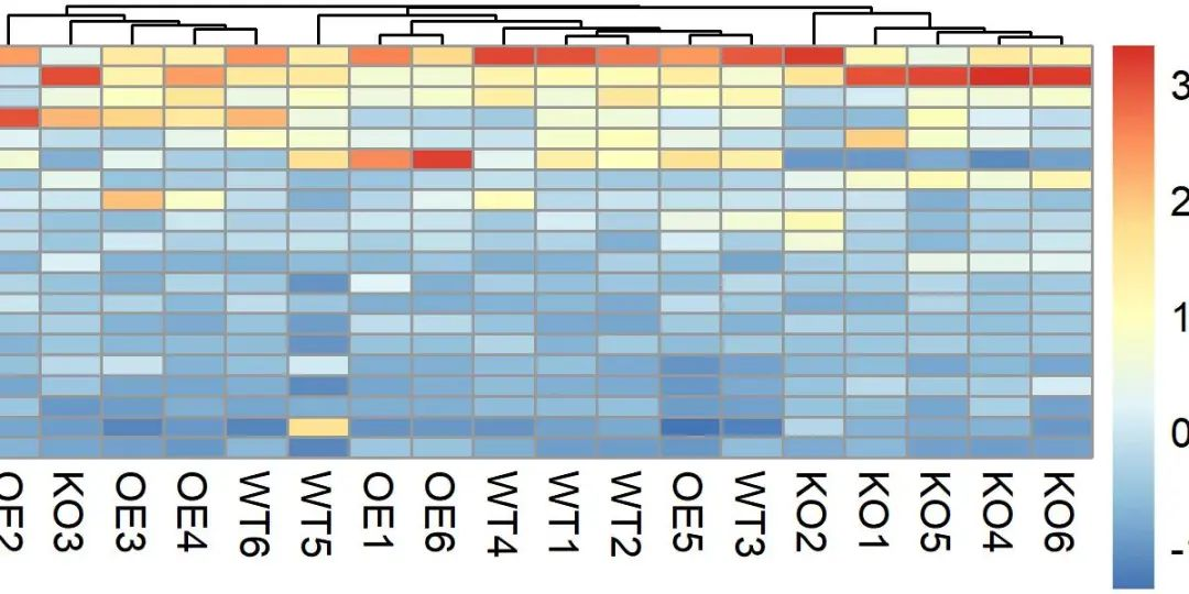 245热图展示微生物组的物种和功能丰度或有无、距离矩阵_数据可视化_08