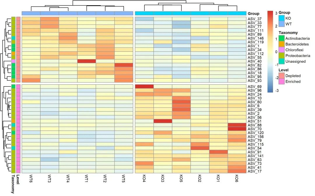 245热图展示微生物组的物种和功能丰度或有无、距离矩阵_数据分析_12