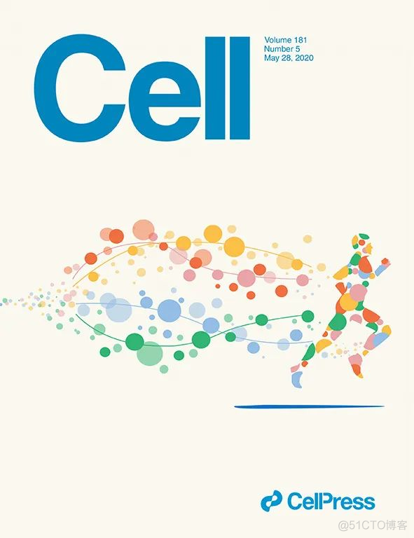 Cell封面文章：跑步短短10分钟，身体近10000个分子大变样！蛋白组学破解运动有益健康之谜..._人工智能