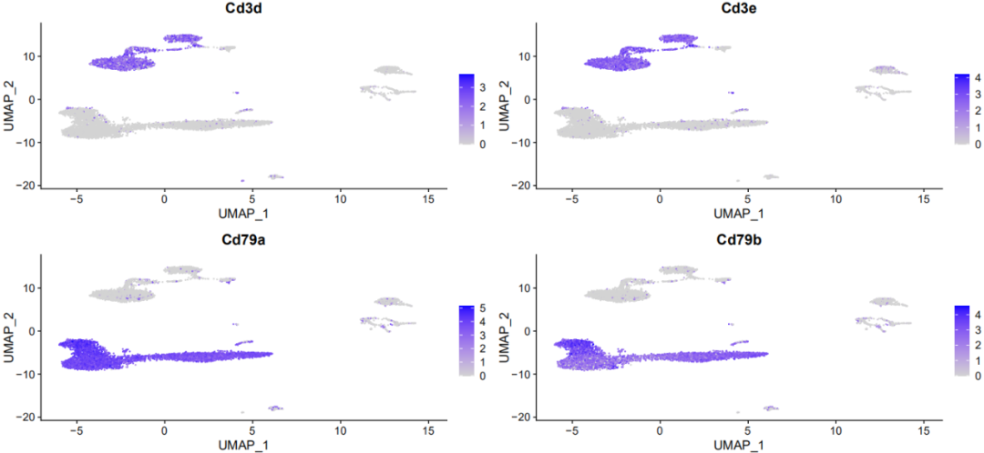 Seurat的单细胞免疫组库分析来了！_数据_10