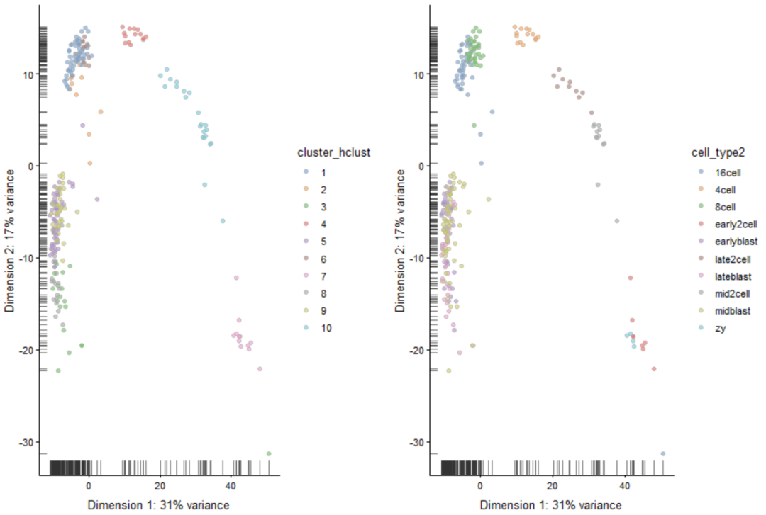 代码分析 | 单细胞转录组clustering详解_聚类_13