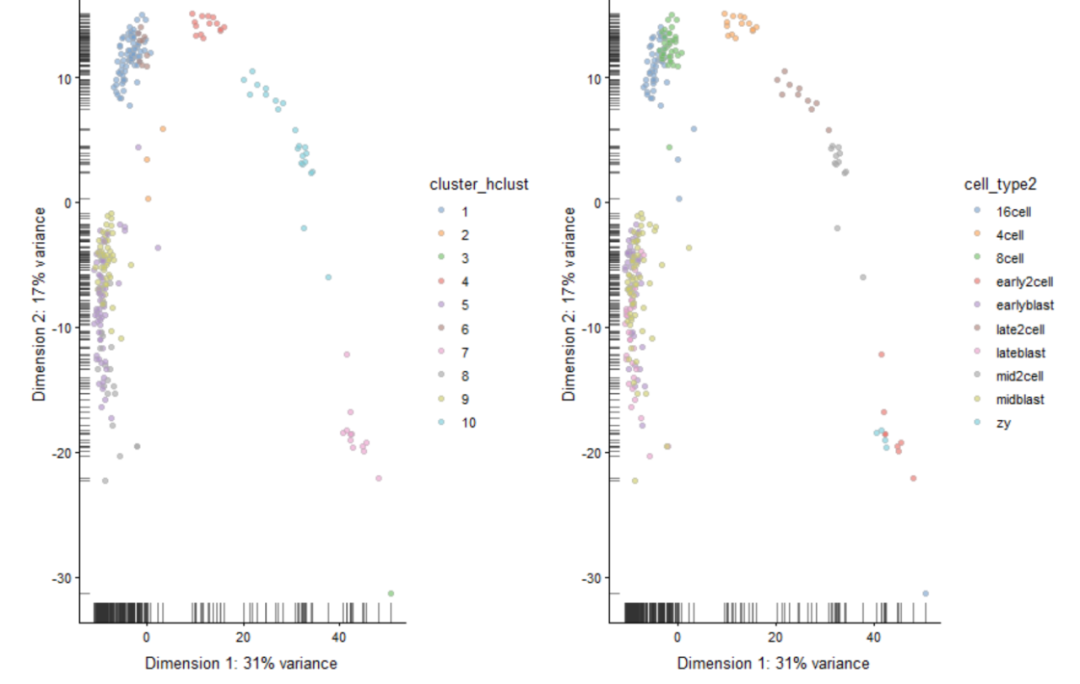 代码分析 | 单细胞转录组clustering详解_聚类_16
