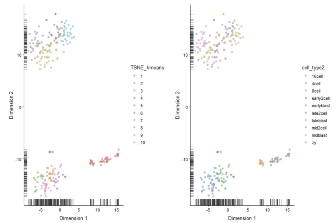 代码分析 | 单细胞转录组clustering详解_数据_19