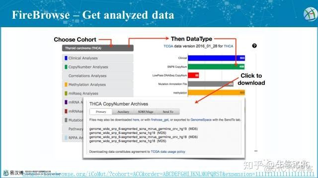 功能强大的TCGA再分析平台_数据_23