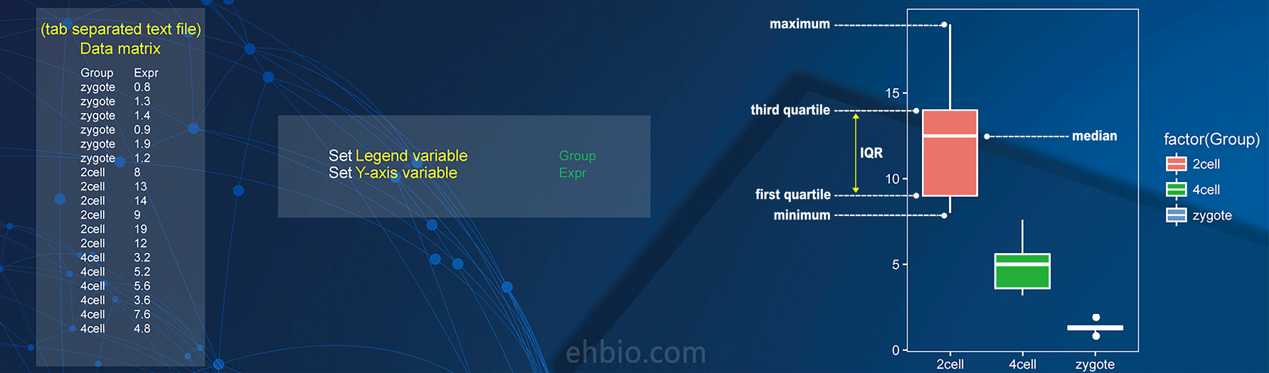 高颜值生物医学在线画图工具_ide_08