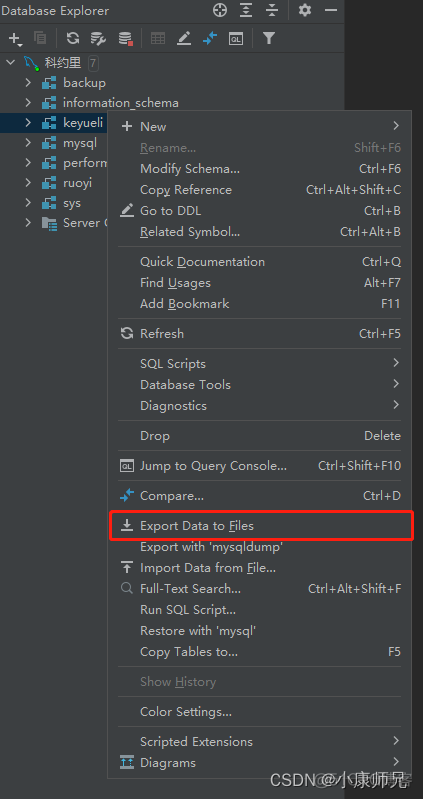 MySQL数据库备份 DataGrip导入和导出_数据导入