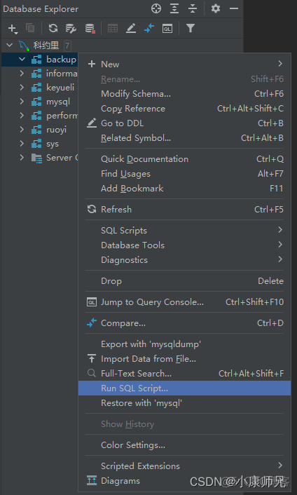 MySQL数据库备份 DataGrip导入和导出_数据导入_03