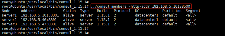 consul集群搭建教程 - 多机集群_IP_10