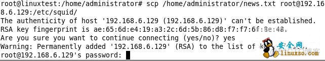 linux scp命令参数及用法详解_文件名_02