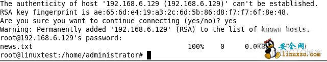 linux scp命令参数及用法详解_文件名_03