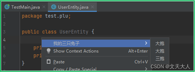 IntelliJ Platform-Plugins-右键单击弹出菜单，显示子菜单_插件开发