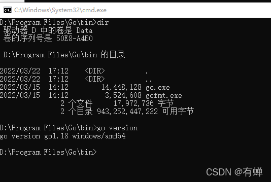 1.17——golang环境配置(windows)_Go_10