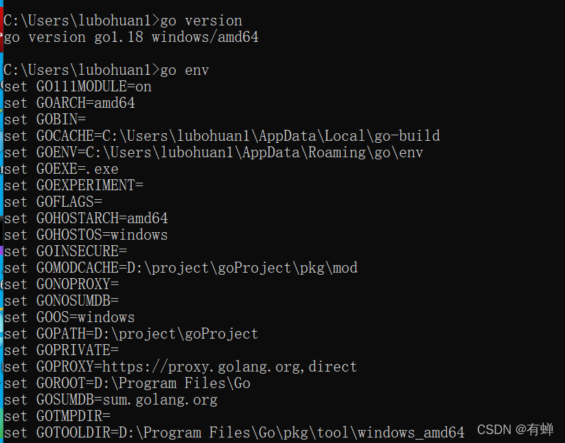 1.17——golang环境配置(windows)_Go_17