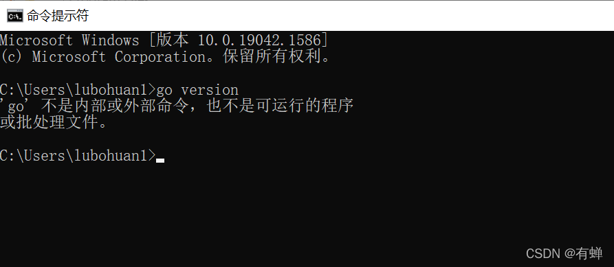 1.17——golang环境配置(windows)_开发语言_11