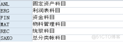 FICO配置详解之一：FI总账会计（1）_主数据_19