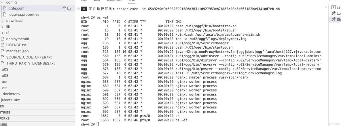 Oracle GoldenGate Free 安装_参考资料_03