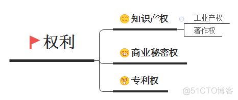 【软考】软件攻城狮考试（十一）——法律_软件