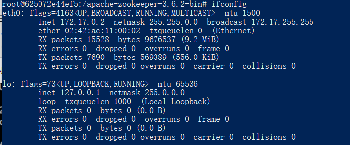 Docker 获取外网IP docker 获取主机ip_Docker_02