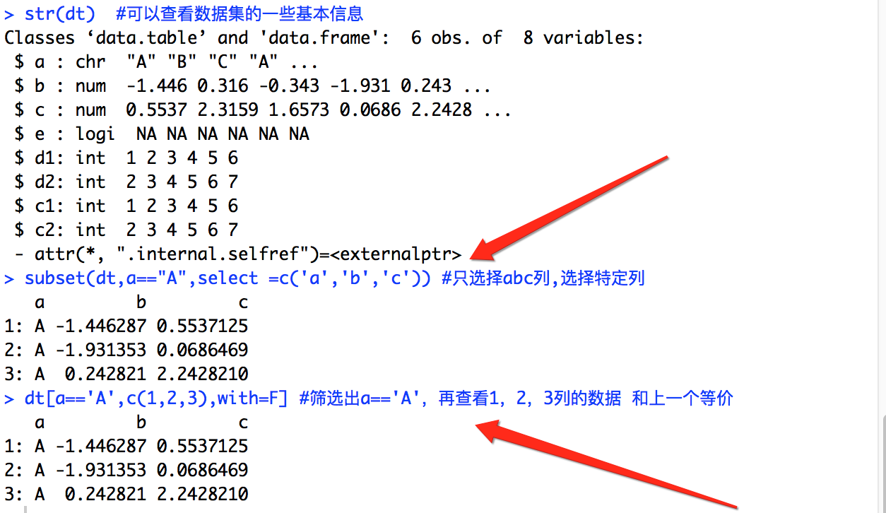 R语言 data() r语言data.table_显式_03