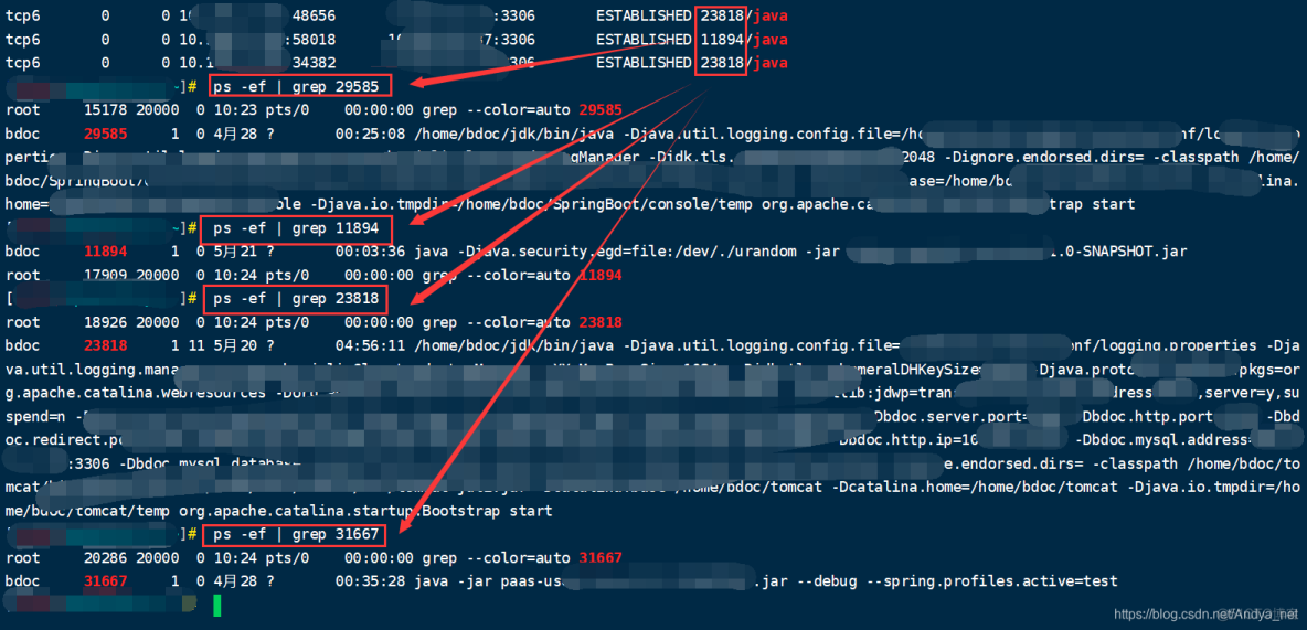 MySQL—Linux查看客户端连接信息（连接数、进程等）及SpringBoot配置数据库模板_SpringBoot数据库配置_10