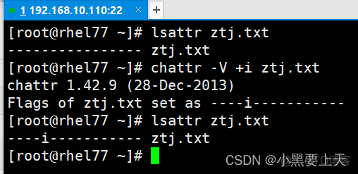 Linux命令(5)之chattr_txt文件